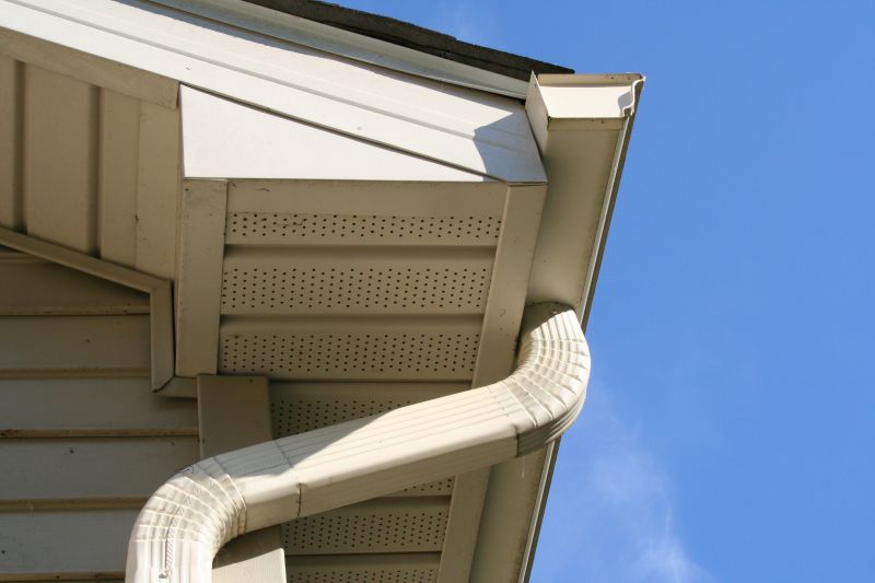 Downspout Cleaning in Monmouth County, NJ