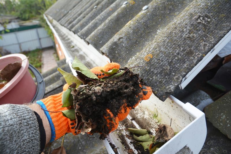 Gutter Cleaning in Baltimore, MD