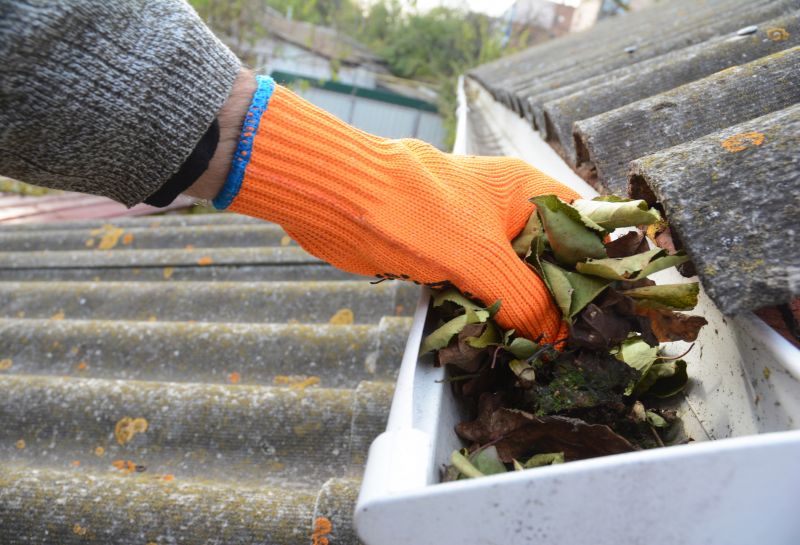Gutter Leaf Clearing in Richmond, VA