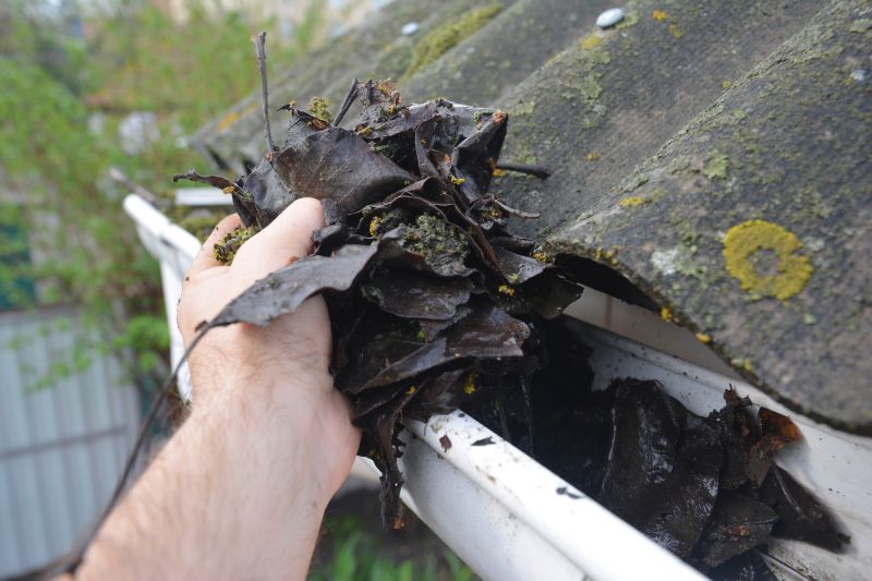 Gutter Leaf Clearing in Baltimore, MD