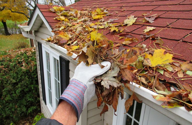 Rain Gutter Clearing in Boulder, CO