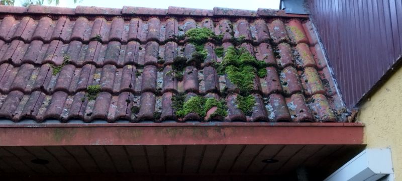 Roof Moss Removal in Vancouver, WA